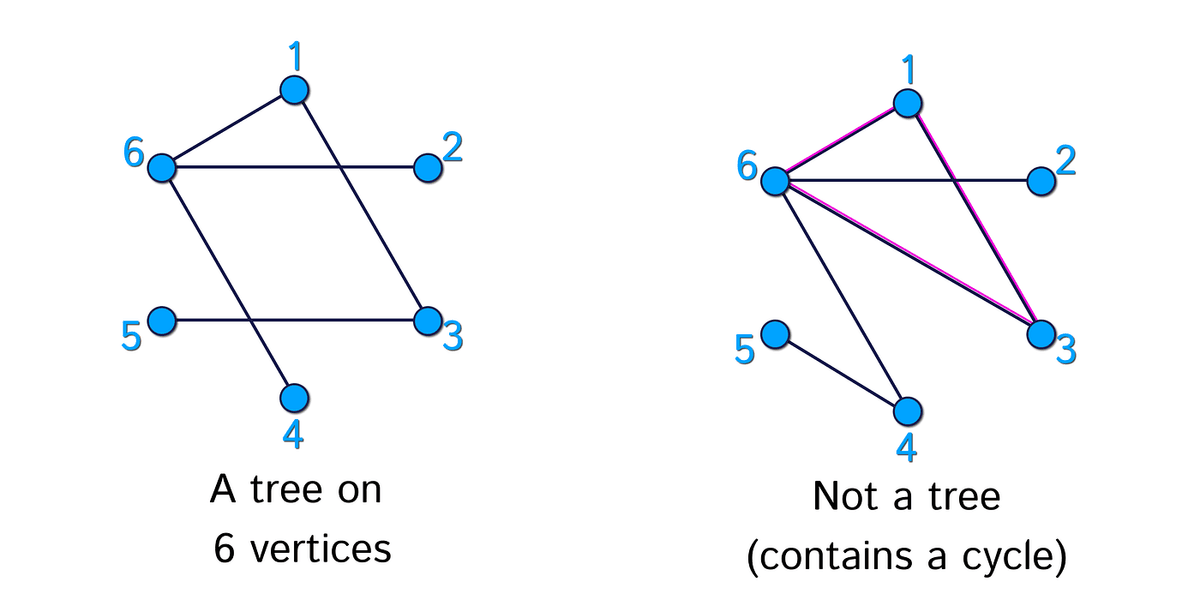 If we add a second path between 2 vertices, then we get a cycle and it is no longer a tree