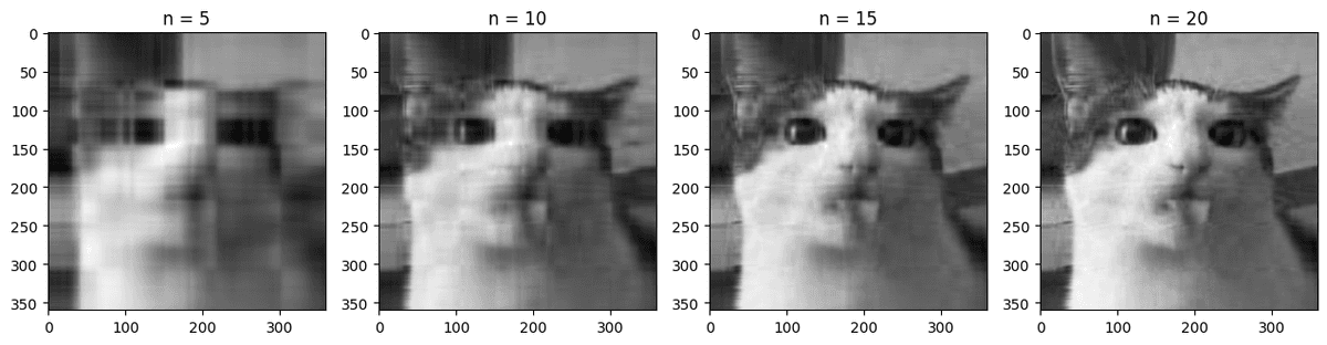 Image compression using SVD to reduce the rank of the matrix representing the image.